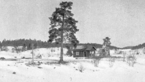 мурманск история война библиотека