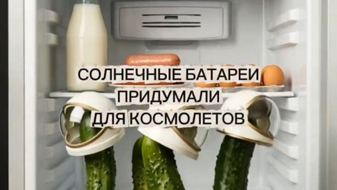 Огурцы в скафандрах