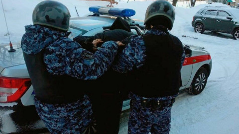 росгвардейцы грузят дебошира в машину