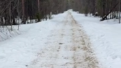 Лыжная трасса с песком