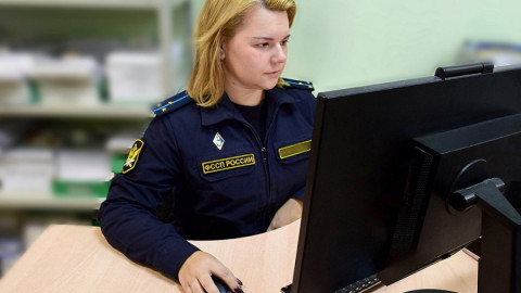 судебный пристав за компьютером