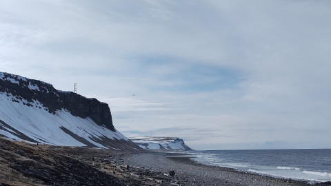 Кильдин весной