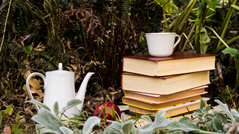 чайник и книги на фоне зелени