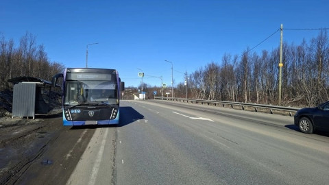 автобус на обочине дороги