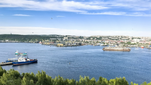 Мурманск люди креатив доска почета