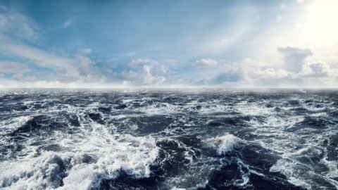 арктика климат экология