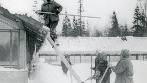 мурманск погода пабси климат