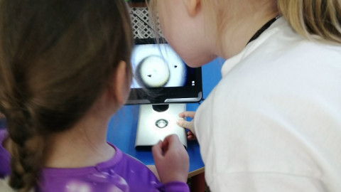 мурманск кандалакша дети