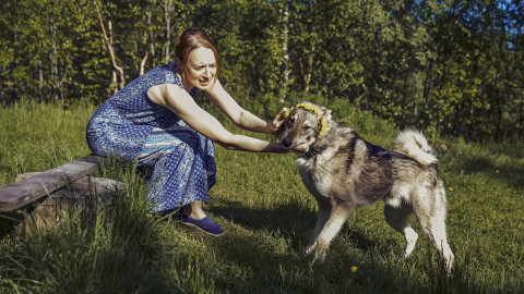 девушка играет с серой собакой