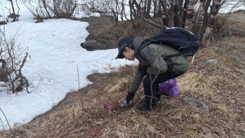мурманск туризм дети