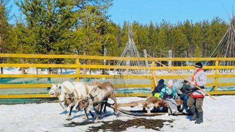 дети в саамской деревне