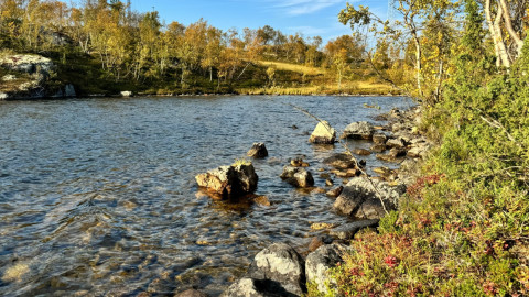 Арктика здоровье медицина