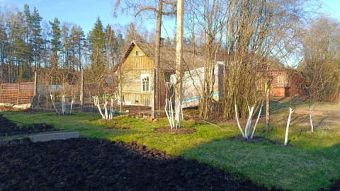 Дачный домик