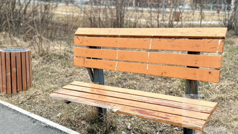 деревянная скамейка в парке