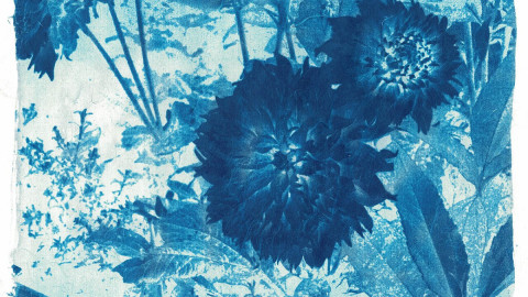 мурманск апатиты фото досуг