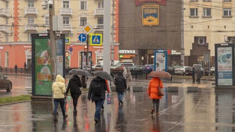 люди идут под зонтиками