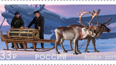 Мурманск война история