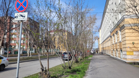 Озеленение Мурманска