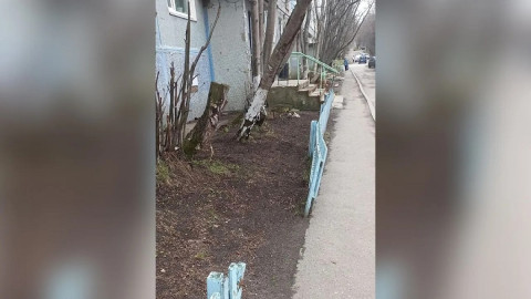 деревянный забор возле палисадника