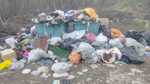 Мусор у контейнеров