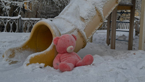 Медведь в снегу