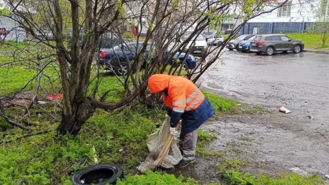 Уборка в Мурманске