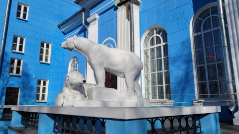 Медведь возле здания