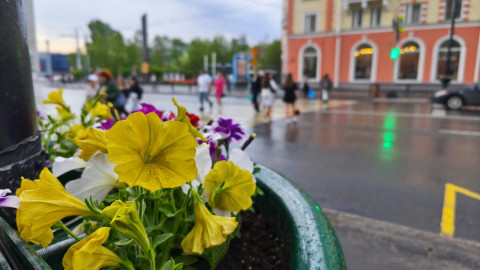 Дождливый день в Мурманске