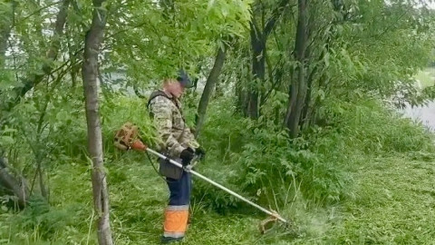 Покос травы