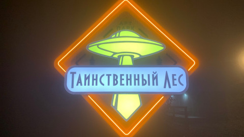 Таинственный лес