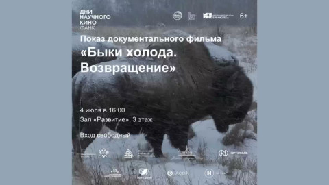 афиша фильма про бизонов