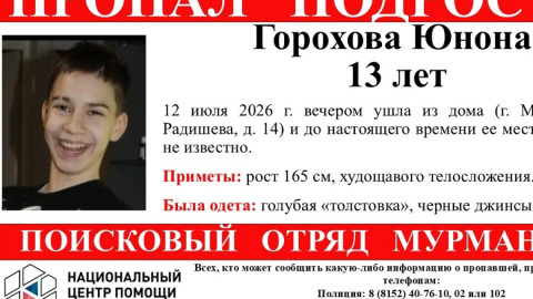 ориентировка о пропавшей девочке