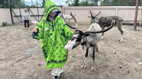 девушка ведет оленя
