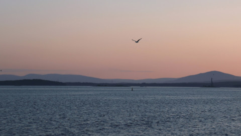 море