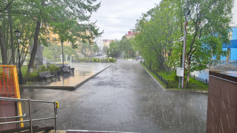 косой летний дождь