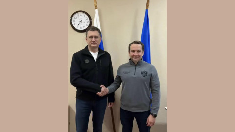 чибис и новак