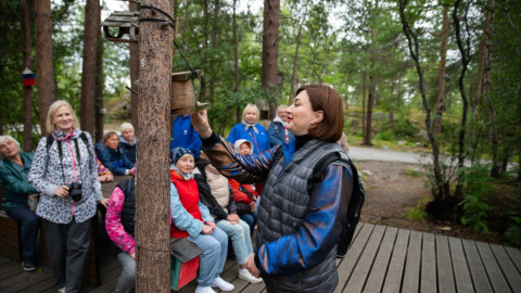 пенсионеры на прогулке