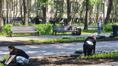 дети сажают цветы в клумбы