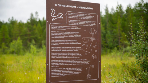 Экотропа Беличий хвост