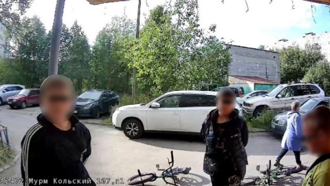 Упитанные поджигатели на Кольском