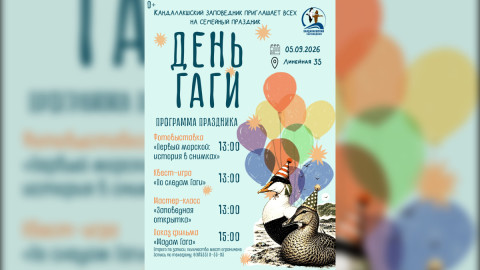 день гаги