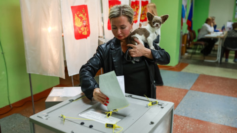 Выборы в Мурманске