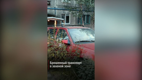 машина в кустах