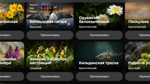 Голосование за животных и растения