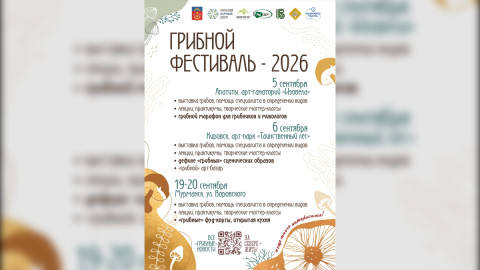 грибной фестиваль