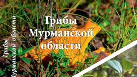 Обложка карт