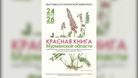 афиша выставки
