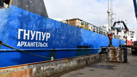 Гнупур в порту Мурманска