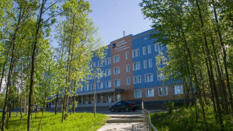 Оленегорская больница