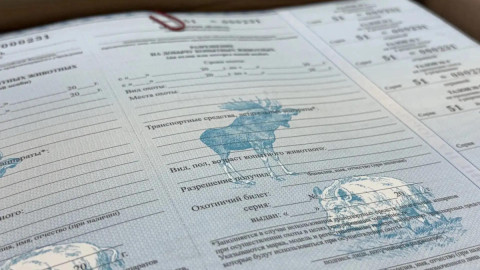 Лицензия на охоту